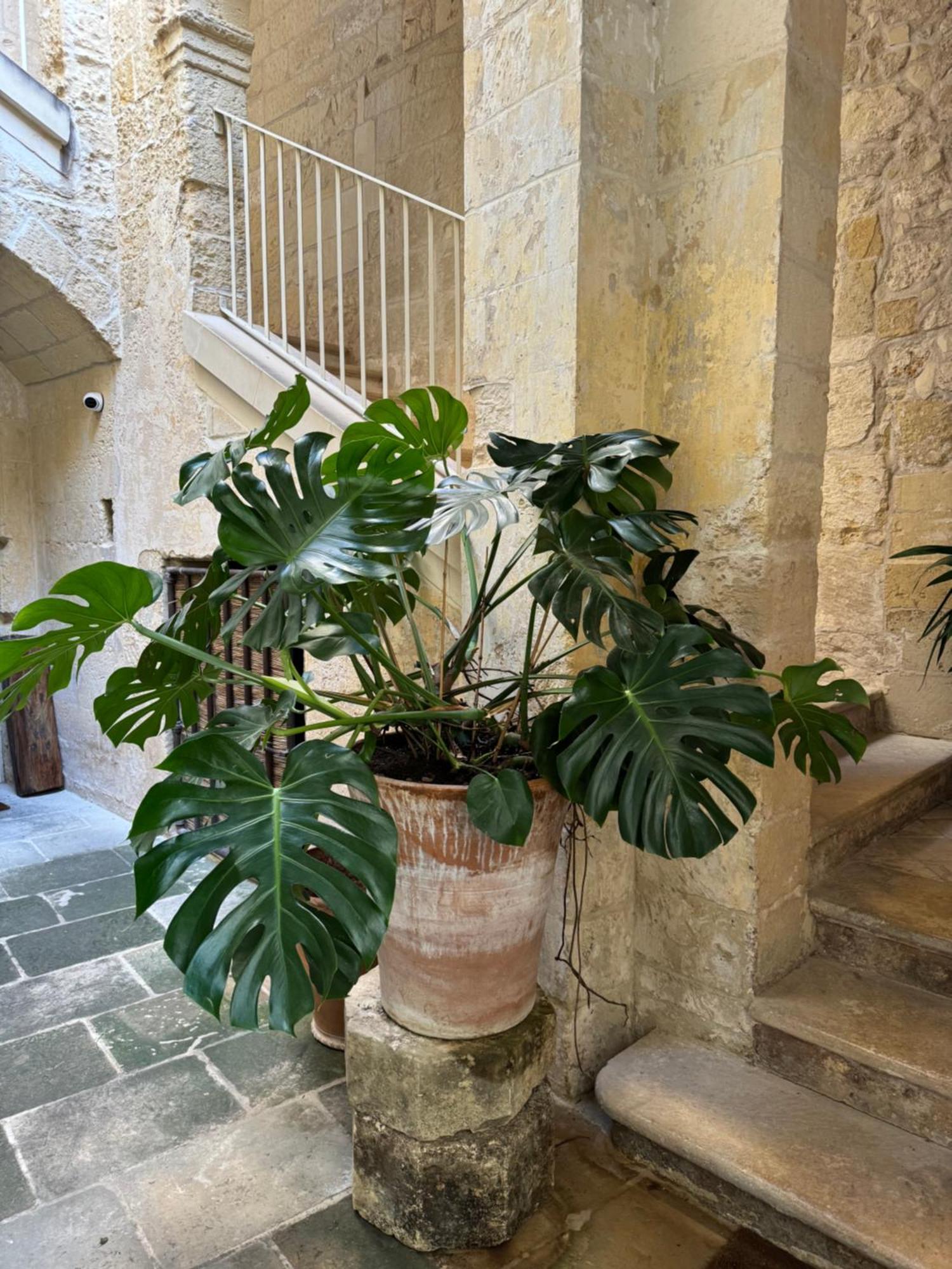 Luleccio Aparthotel Lecce Exterior photo